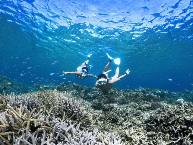 宮古島　シュノーケリング　海